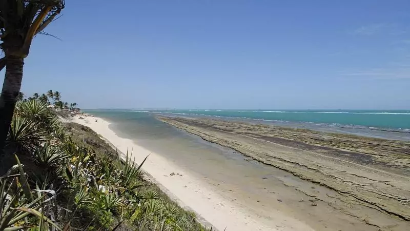 Aproveite a Praia do Saco Um paraiso no litoral sul de Alagoas